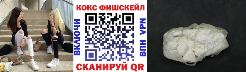 COCAIN Fish Scale  купить   Краснозаводск 