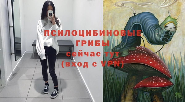 каннабис Богданович