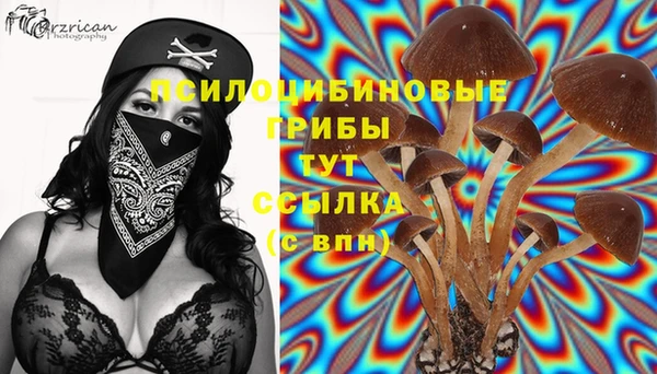 каннабис Бронницы